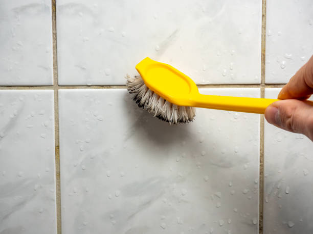 Best Commercial Mold Removal  in Blytheville, AR
