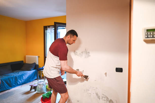 Attic Mold Removal in Blytheville, AR